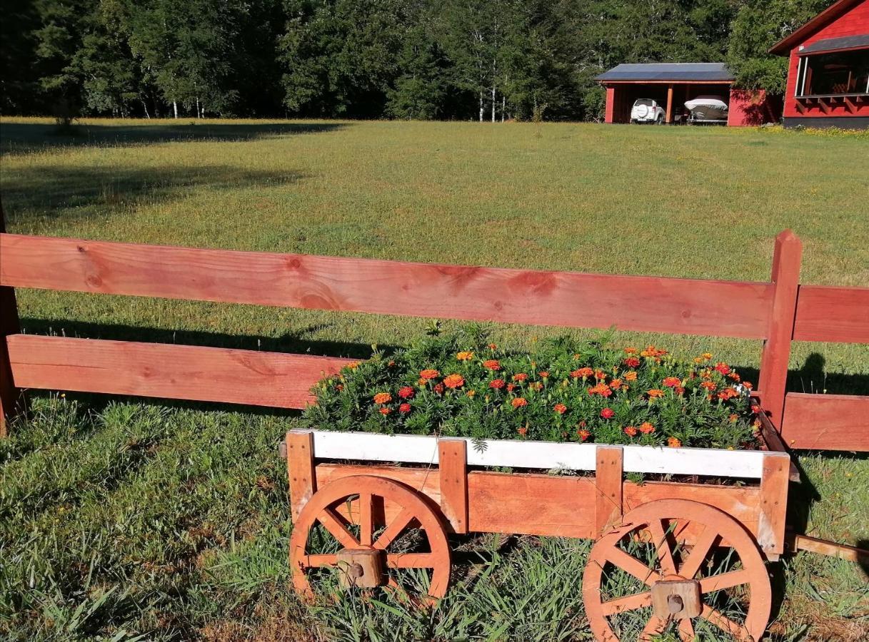 Cabanas Los Canelos Hermosa Granja En Pucón Zewnętrze zdjęcie