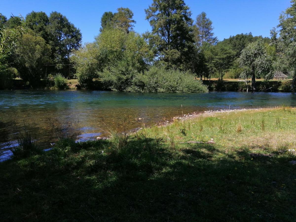 Cabanas Los Canelos Hermosa Granja En Pucón Zewnętrze zdjęcie