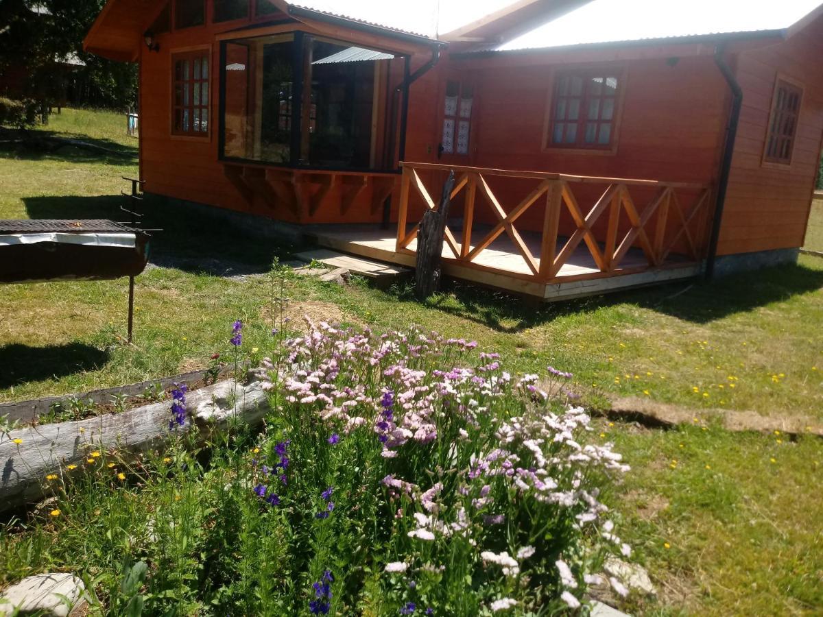 Cabanas Los Canelos Hermosa Granja En Pucón Zewnętrze zdjęcie