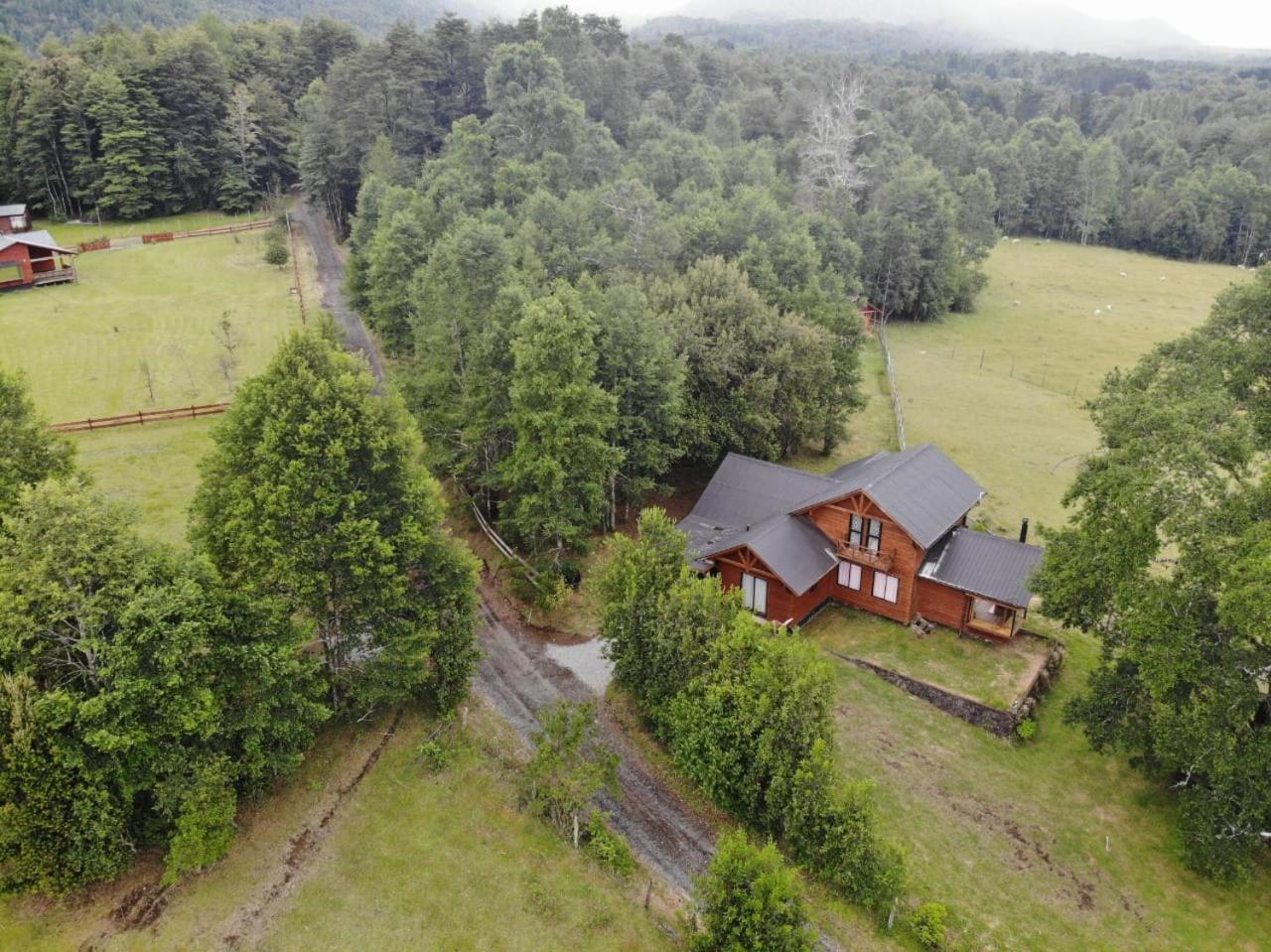 Cabanas Los Canelos Hermosa Granja En Pucón Zewnętrze zdjęcie