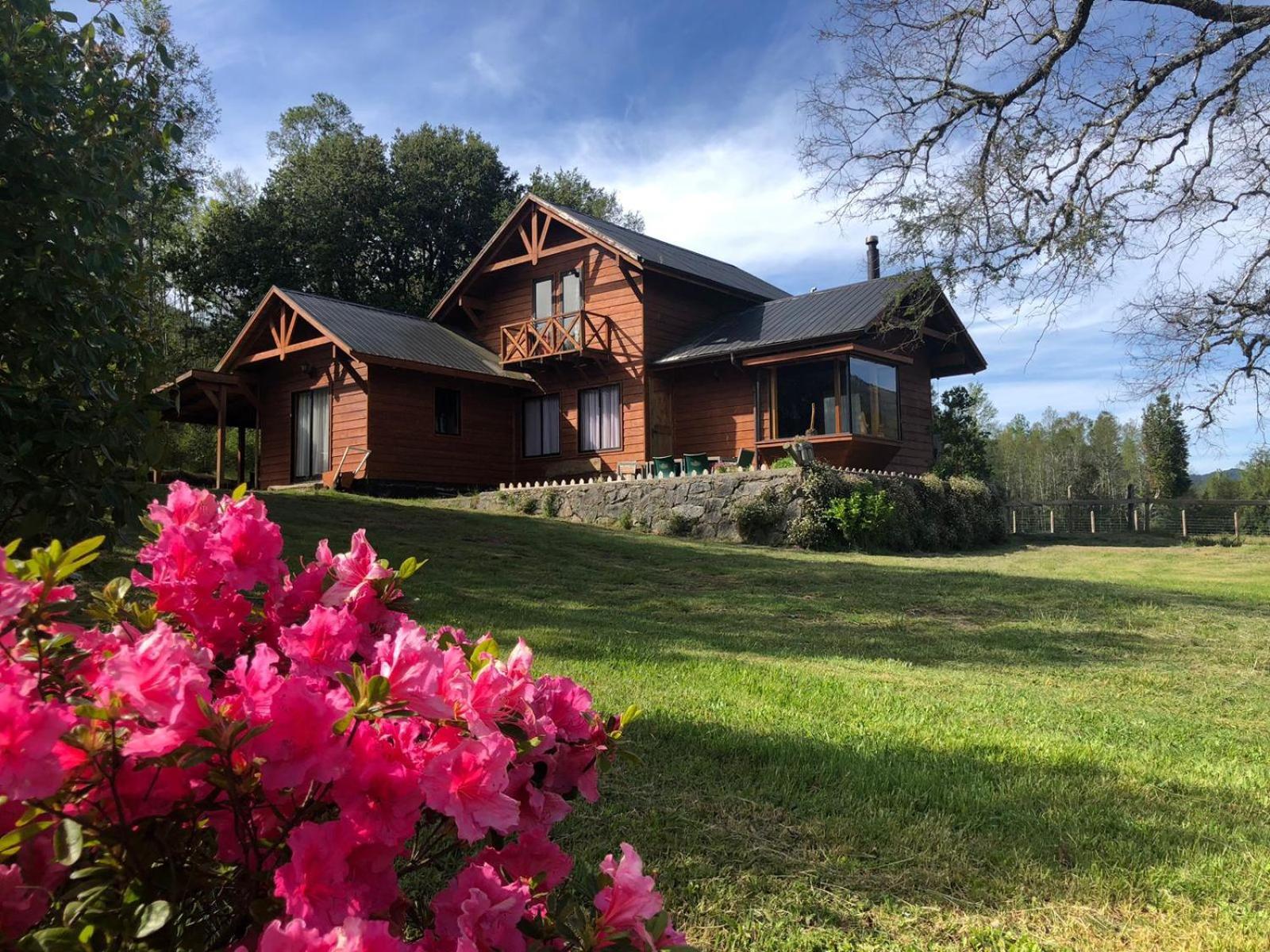 Cabanas Los Canelos Hermosa Granja En Pucón Zewnętrze zdjęcie