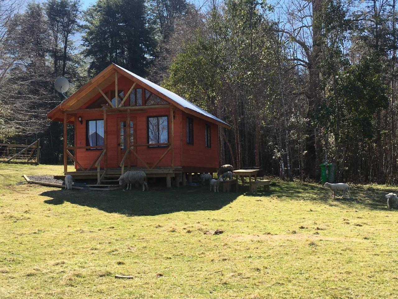 Cabanas Los Canelos Hermosa Granja En Pucón Zewnętrze zdjęcie