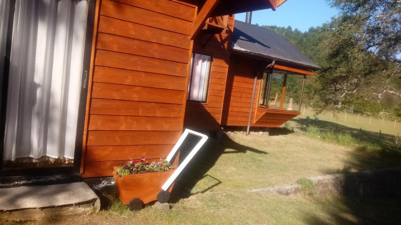 Cabanas Los Canelos Hermosa Granja En Pucón Zewnętrze zdjęcie